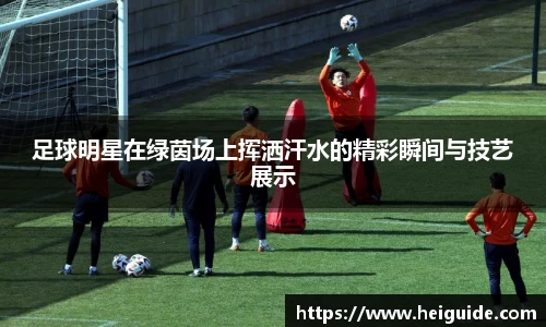 足球明星在绿茵场上挥洒汗水的精彩瞬间与技艺展示